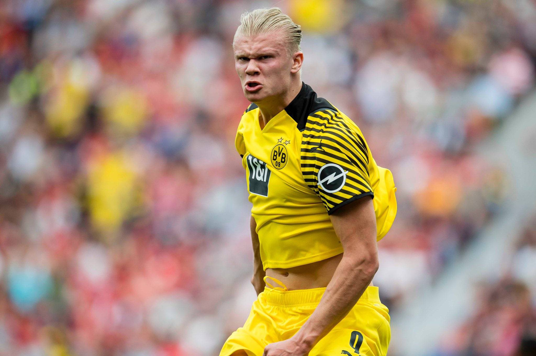 官方：奥克兰队长酒井宏树伤愈，客战中央海岸水手有望出战